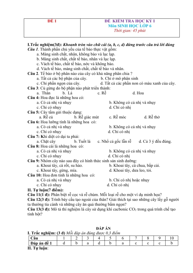 25 Đề Thi HK1 Sinh Học Lớp 6 - Thumbnail