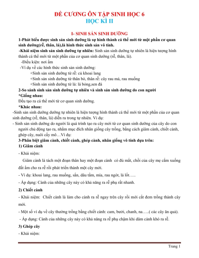 Đề Cương Ôn Tập Sinh 6 HK2 - Thumbnail