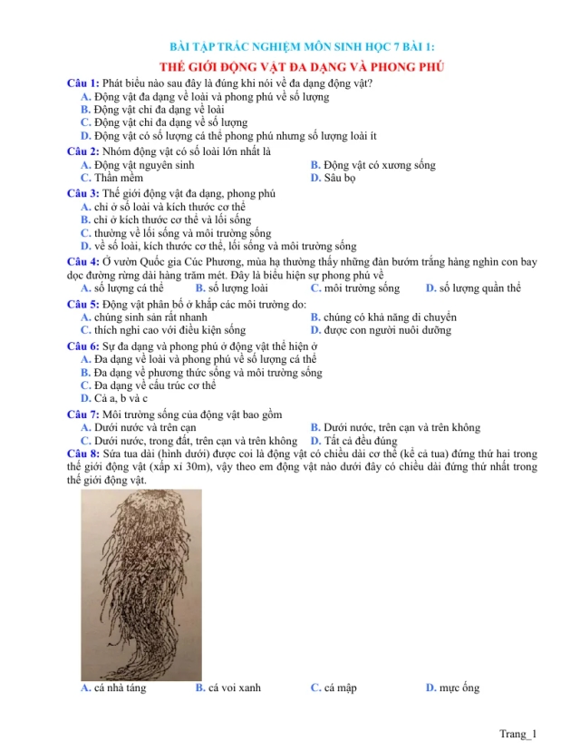 Trắc Nghiệm Sinh 7 Bài 1: Thế Giới Động Vật Đa Dạng Và Phong Phú - Thumbnail