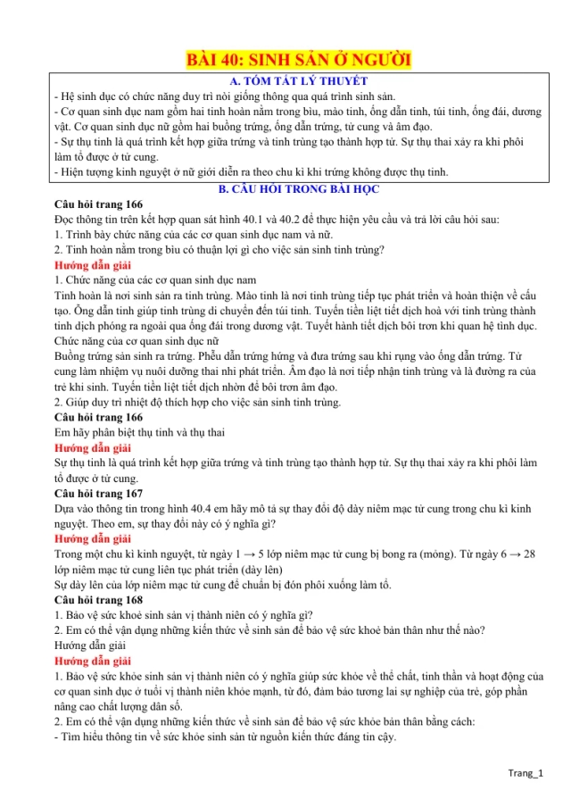 Chuyên Đề KHTN 8 Bài 40 Sinh Sản Ở Người - Thumbnail