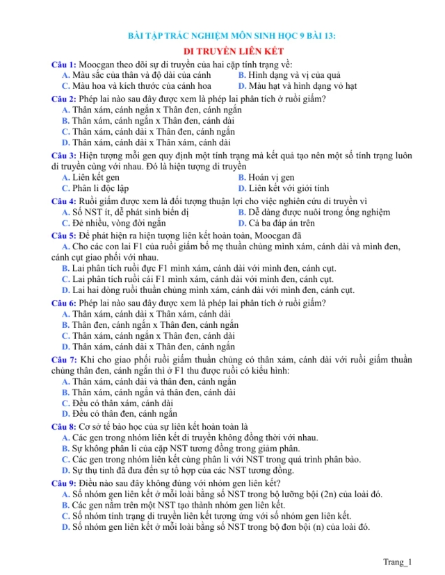 Trắc Nghiệm Sinh 9 Bài 13: Di Truyền Liên Kết - Thumbnail