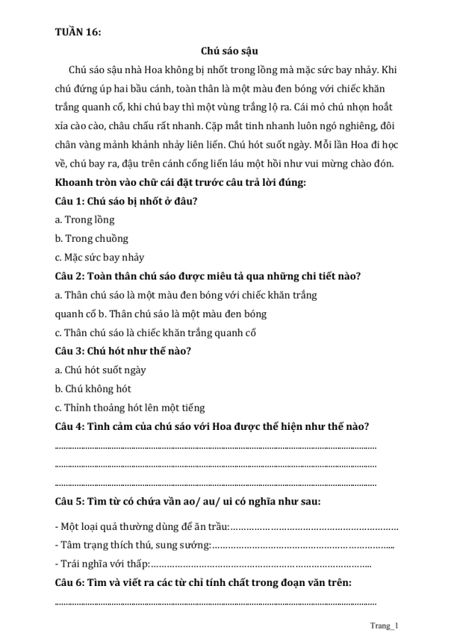 Phiếu Cuối Tuần Tiếng Việt 2 Tuần 16 - Thumbnail