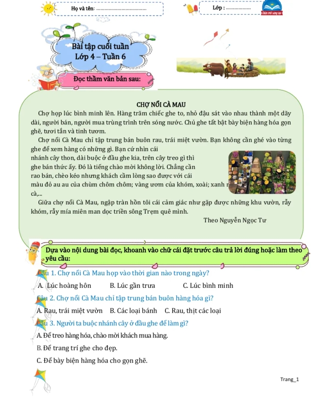Bài Tập Cuối Tuần Tiếng Việt 4 Tuần 6 - Thumbnail
