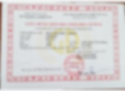 Bằng cấp 1