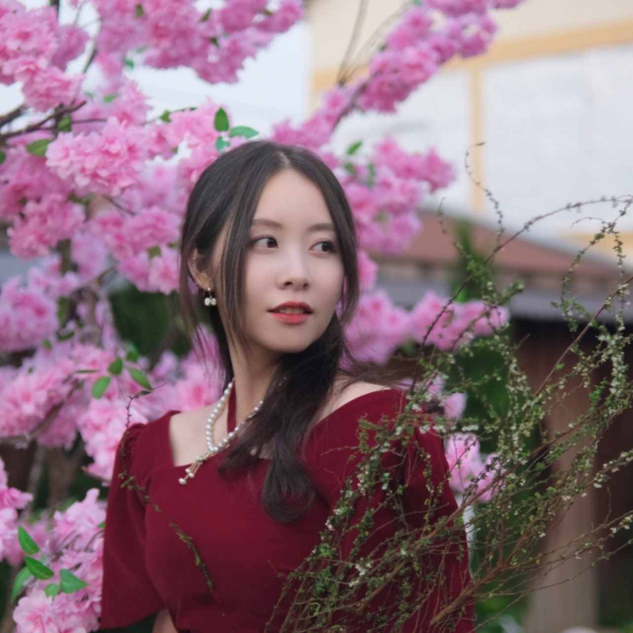 Hồ Thị Như Đăng