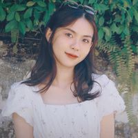 Giáo viên tiểu học Lê Thị Hoàng Anh TH Nguyễn Việt Hồng