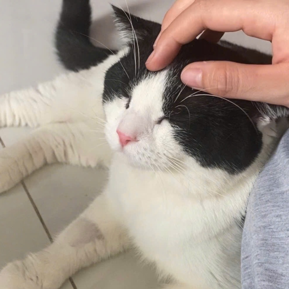 Quách Ngọc Mỹ Di tuyển gia sư tại nhà ở Thành phố Hồ Chí Minh