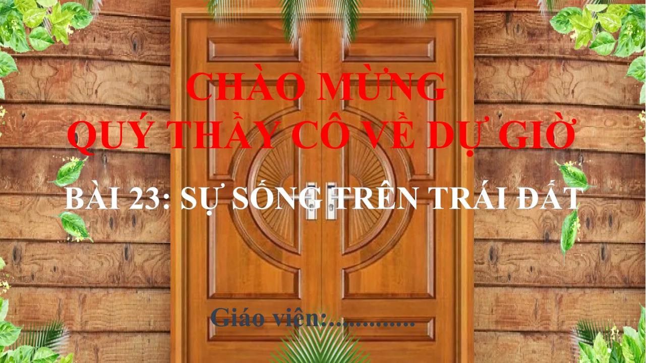 Giáo Án PowerPoint Địa Lí 6 Bài 23: Sự Sống Trên Trái Đất