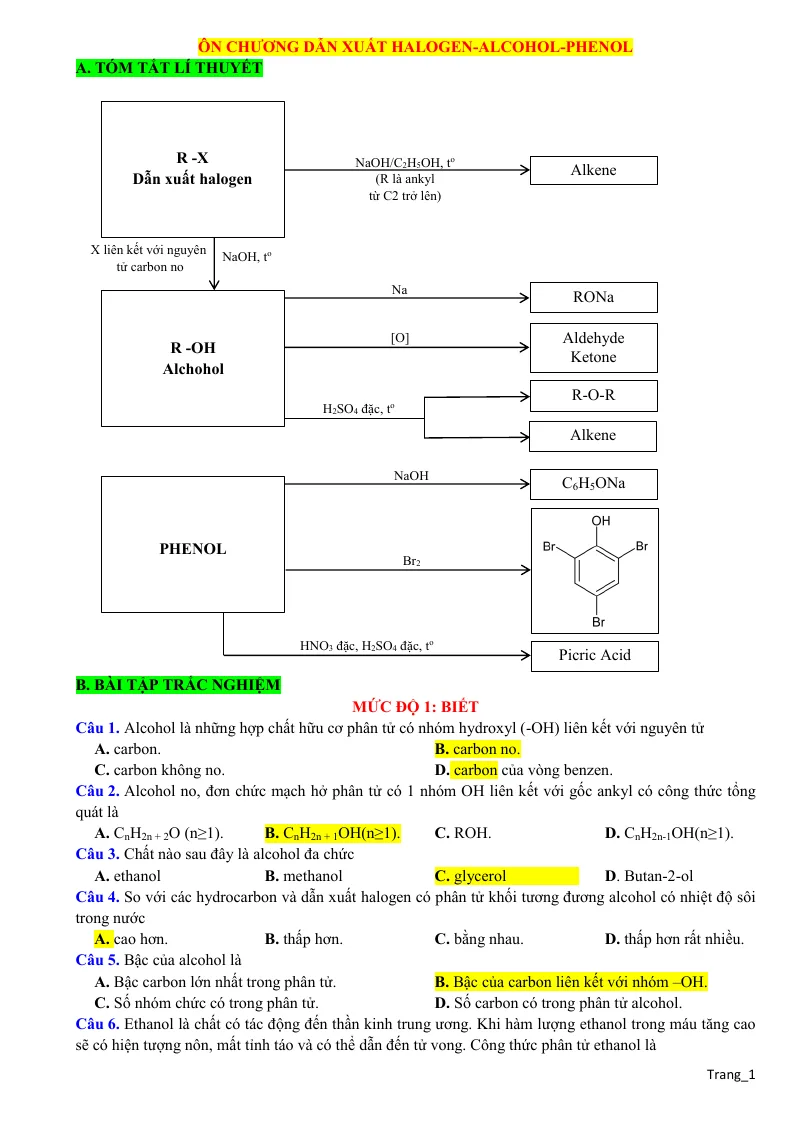 Lý Thuyết Và Trắc Nghiệm Ôn Tập Dẫn Xuất Halogen - Alcohol - Phenol