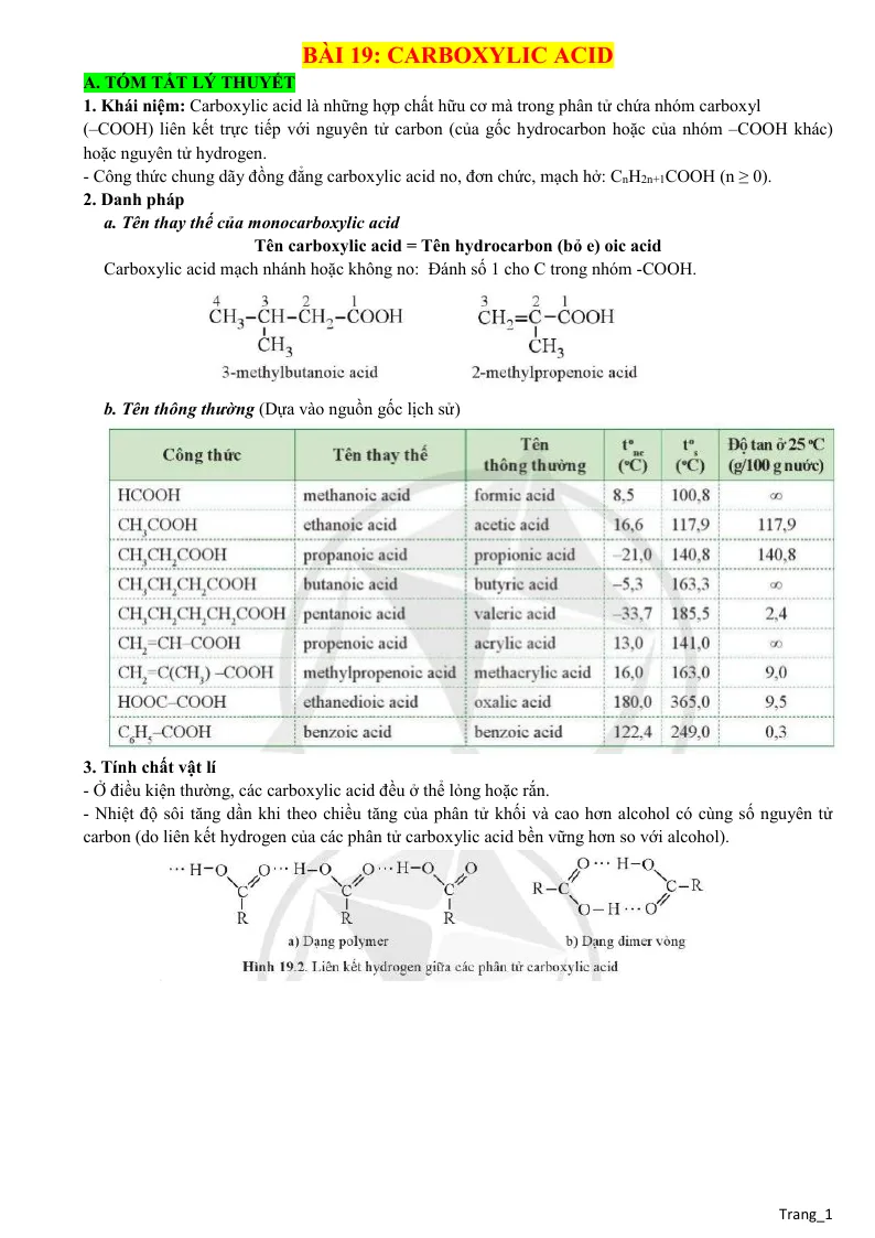 Lý Thuyết Và Trắc Nghiệm Bài 19 Carboxylic Acid Lớp 11
