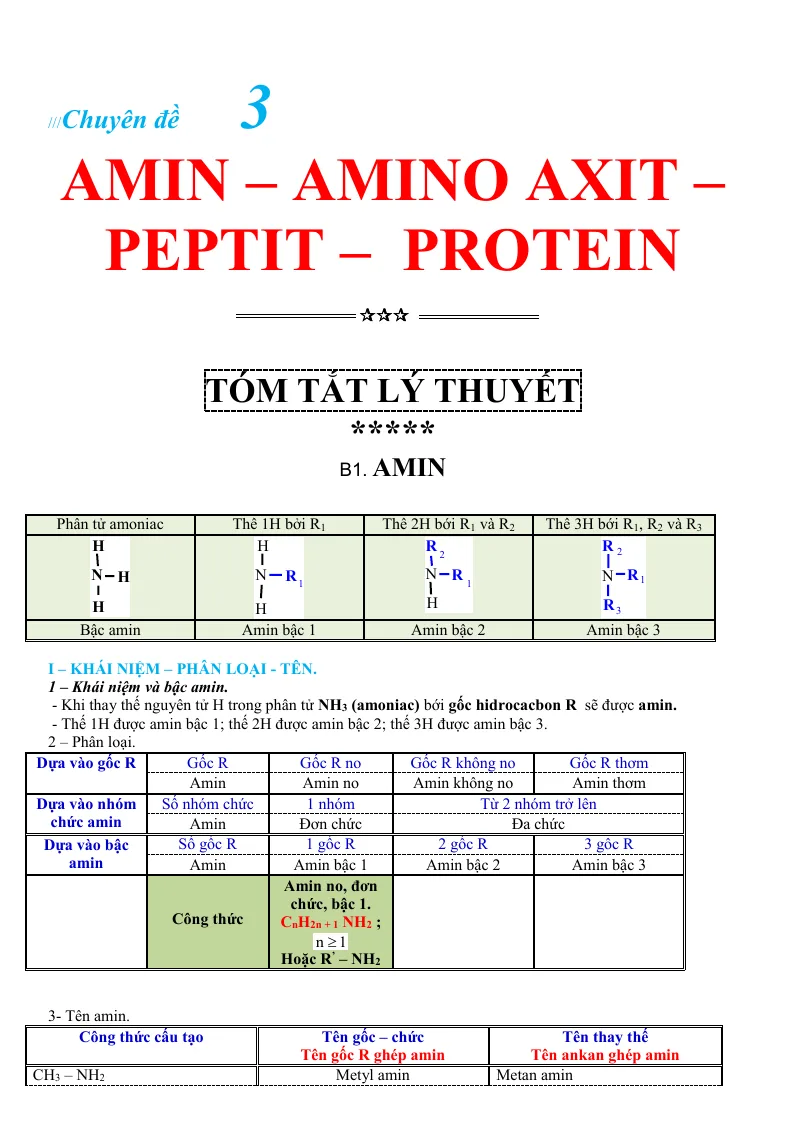 Chuyên Đề Amin–Amino axit–Peptit–Protein