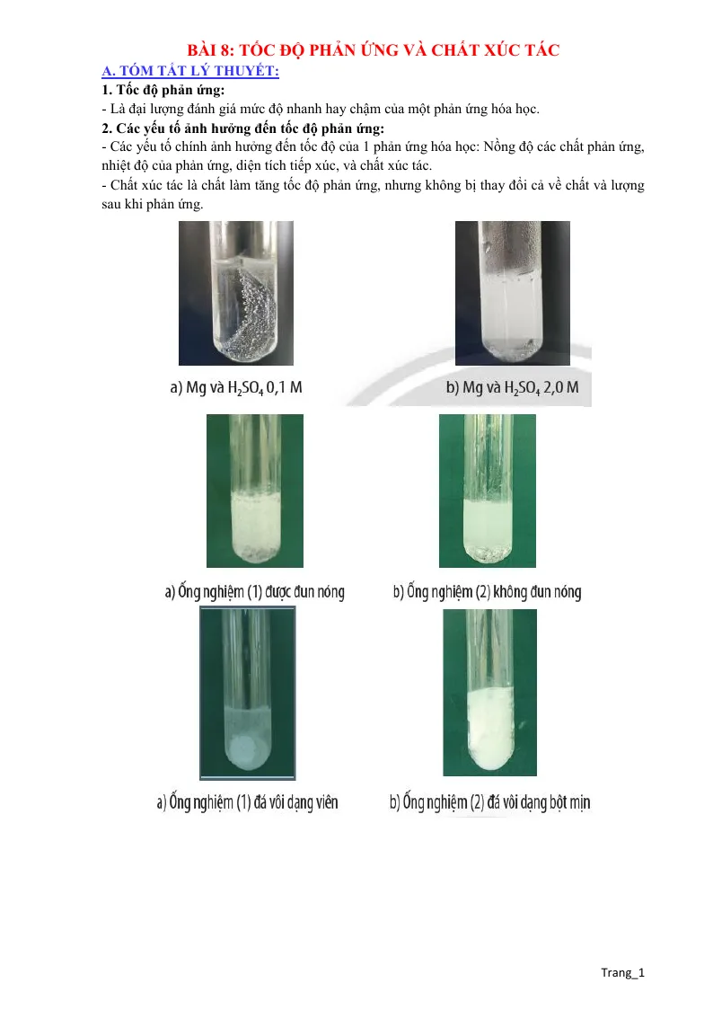 Chuyên Đề KHTN 8 Bài 8 Tốc Độ Phản Ứng Và Chất Xúc Tác