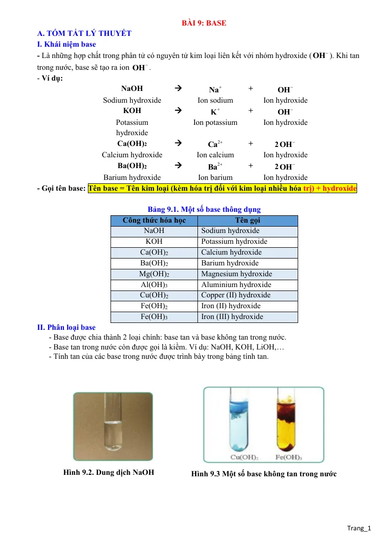 Chuyên Đề KHTN 8 Bài 9 Base