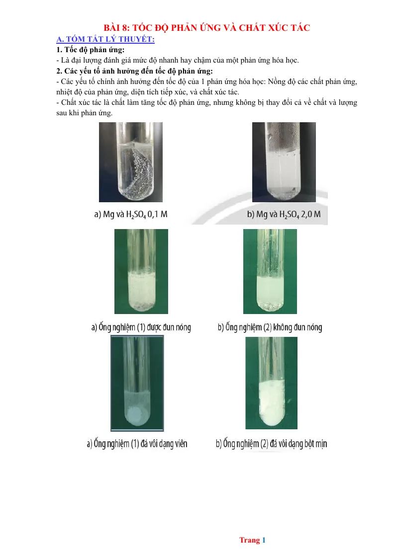 Chuyên Đề KHTN 8 Bài 8 Tốc Độ Phản Ứng Và Chất Xúc Tác