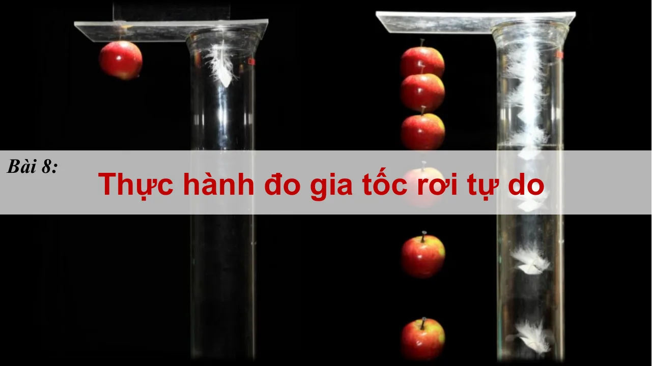 Giáo Án PowerPoint Vật Lí 10 Bài 8 Thực Hành Đo Gia Tốc Rơi Tự Do