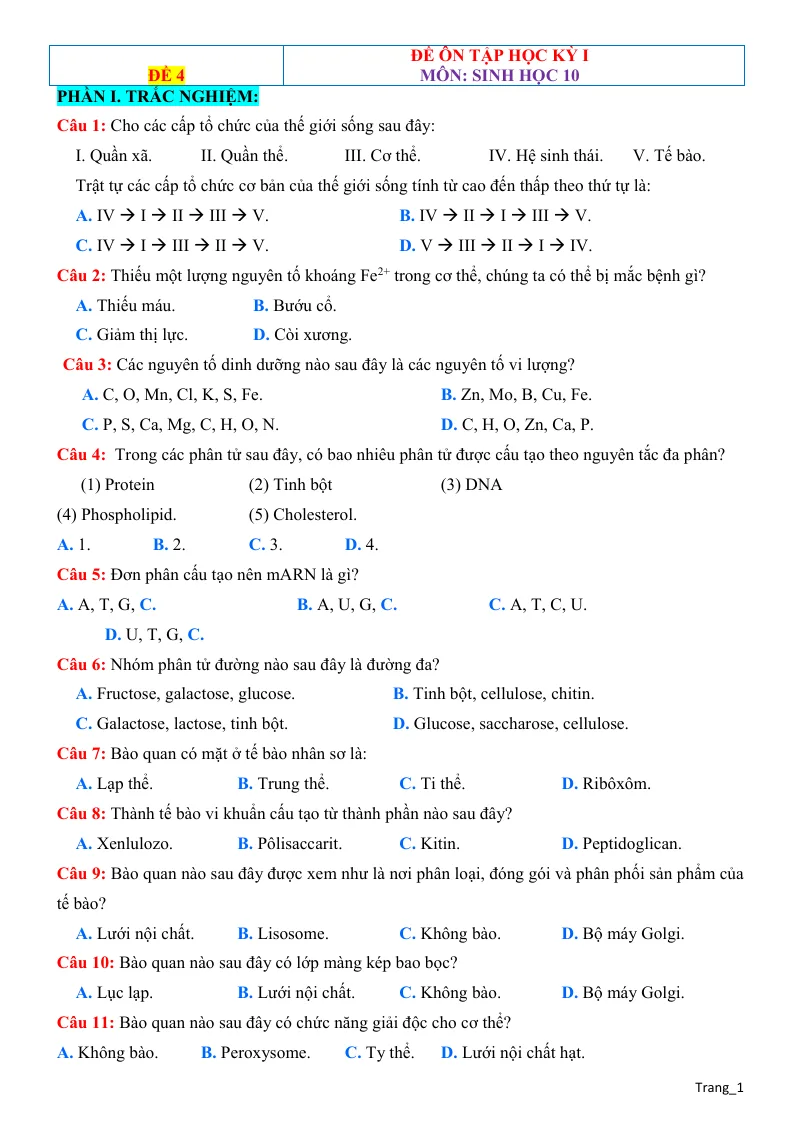 Đề Ôn Thi Học Kỳ 1 Môn Sinh 10 Có Đáp Án - Đề 4