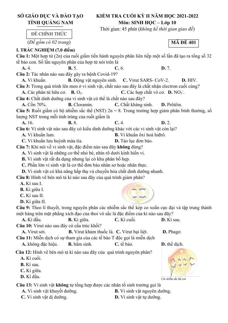 Đề Thi Cuối HK2 Môn Sinh 10 Sở GD Quảng Nam 2021 - 2022
