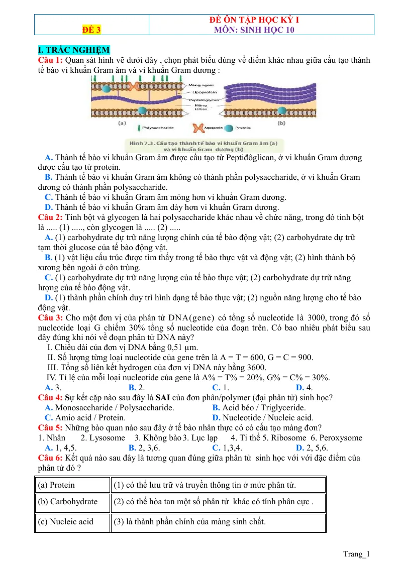 Đề Ôn Thi Học Kỳ 1 Sinh 10 Có Đáp Án - Đề 3