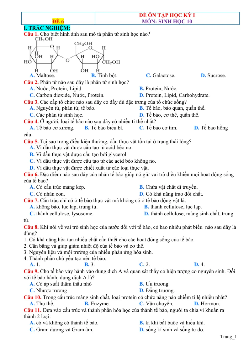 Đề Ôn Thi HK1 Môn Sinh 10 Có Đáp Án - Đề 6