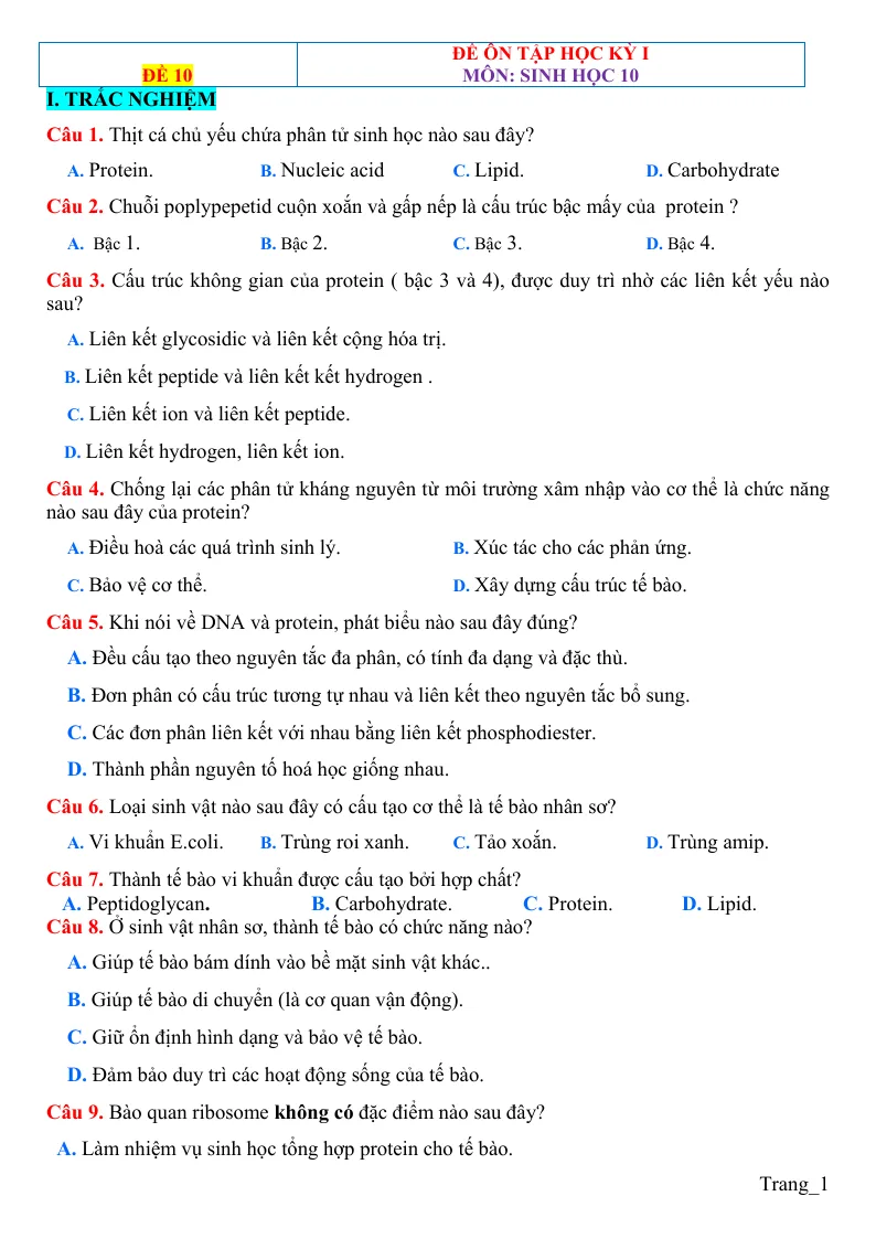 Đề Kiểm Tra Học Kỳ 1 Môn Sinh 10 Có Đáp Án - Đề 10