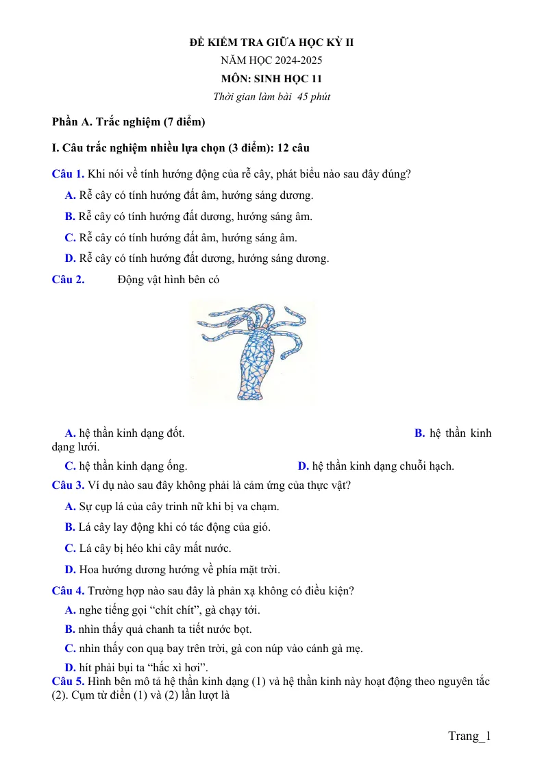 Đề Kiểm Tra Giữa Kỳ 2 Sinh 11 2024 - 2025