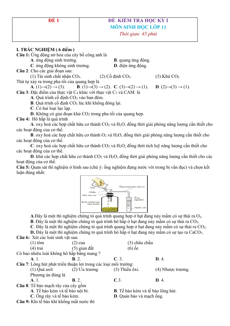 10 Đề Thi Học Kỳ 1 Môn Sinh 11