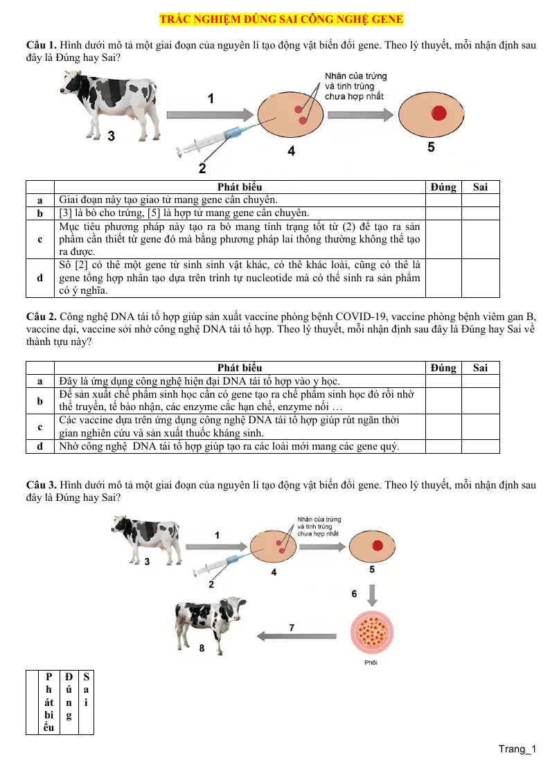 10 Câu Trắc Nghiệm Đúng Sai Công Nghệ Gene Sinh 12