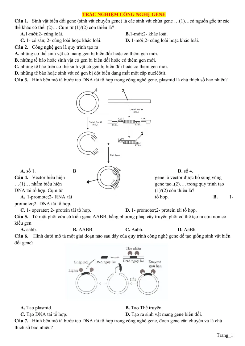 30 Câu Trắc Nghiệm Công Nghệ Gene Sinh 12