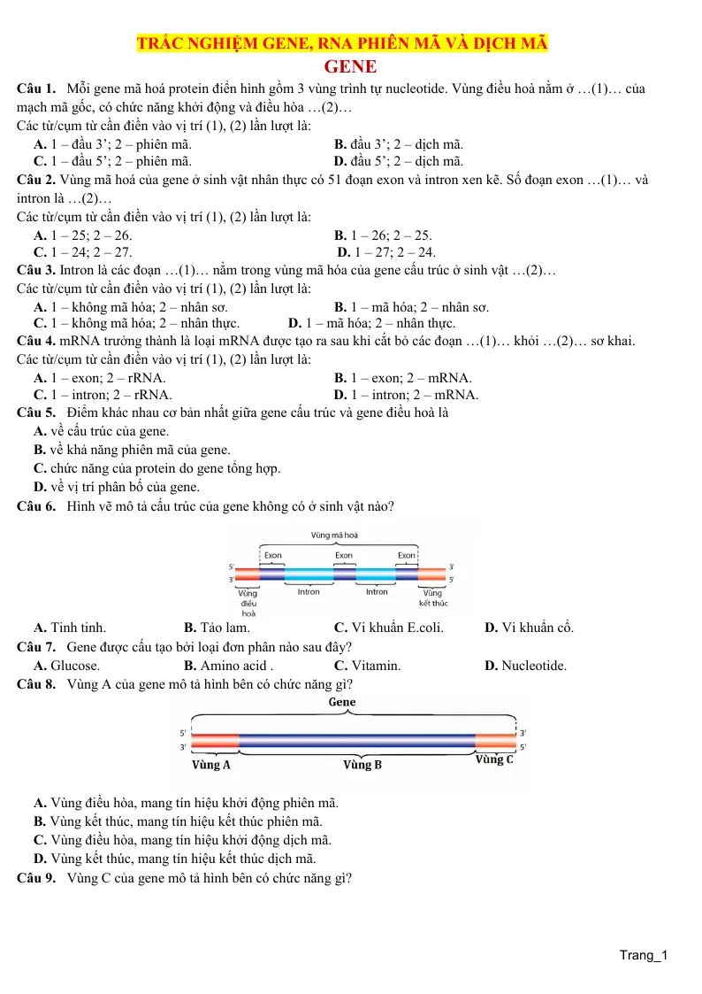 200 Câu Trắc Nghiệm Gene RNA Phiên Mã Và Dịch Mã Sinh 12
