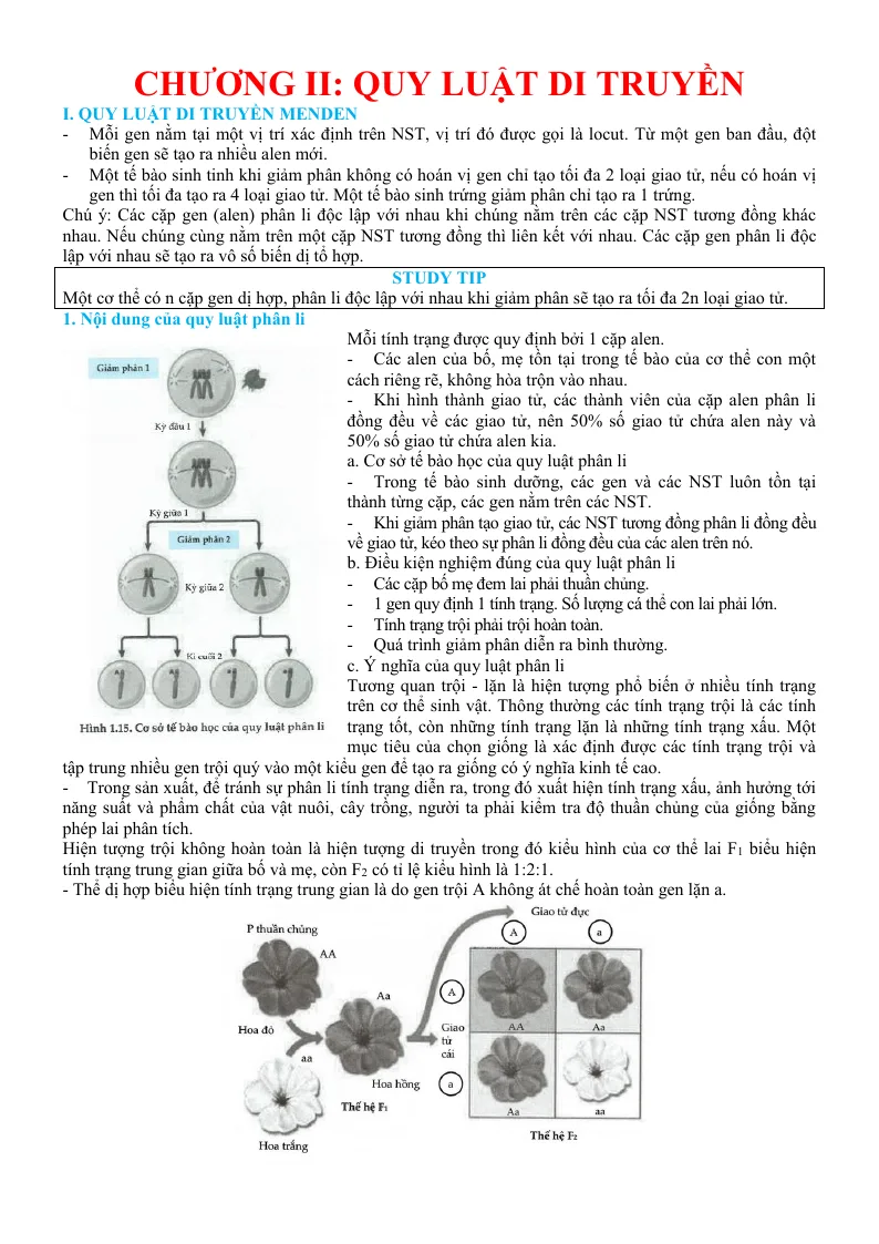 Trắc Nghiệm Quy Luật Di Truyền