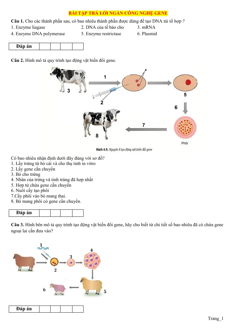 10 Bài Tập Trả Lời Ngắn Công Nghệ Gene Sinh 12