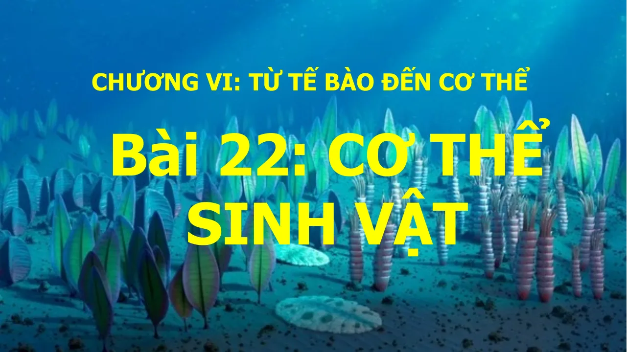 Giáo án PowerPoint môn KHTN 6 Bài 22: Cơ Thể Sinh Vật