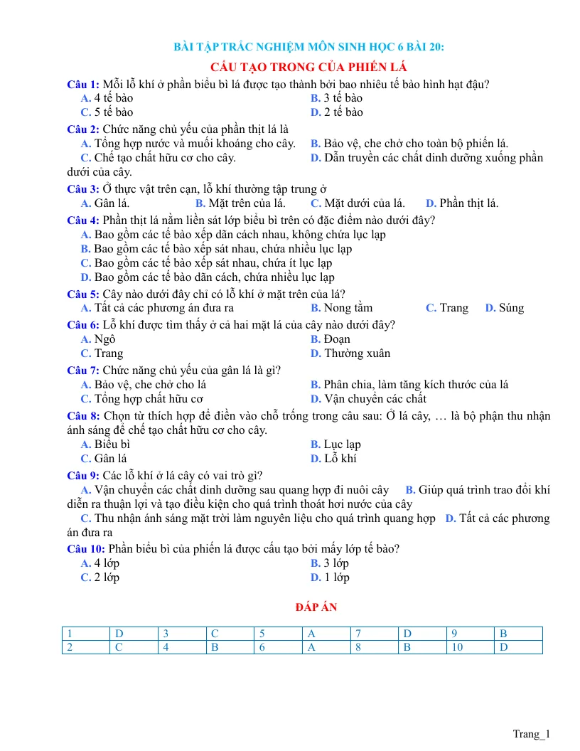 Trắc Nghiệm Sinh 6 Bài 20: Cấu Tạo Trong Của Phiến Lá