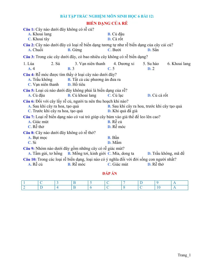 Trắc Nghiệm Sinh 6 Bài 12: Biến Dạng Của Rễ