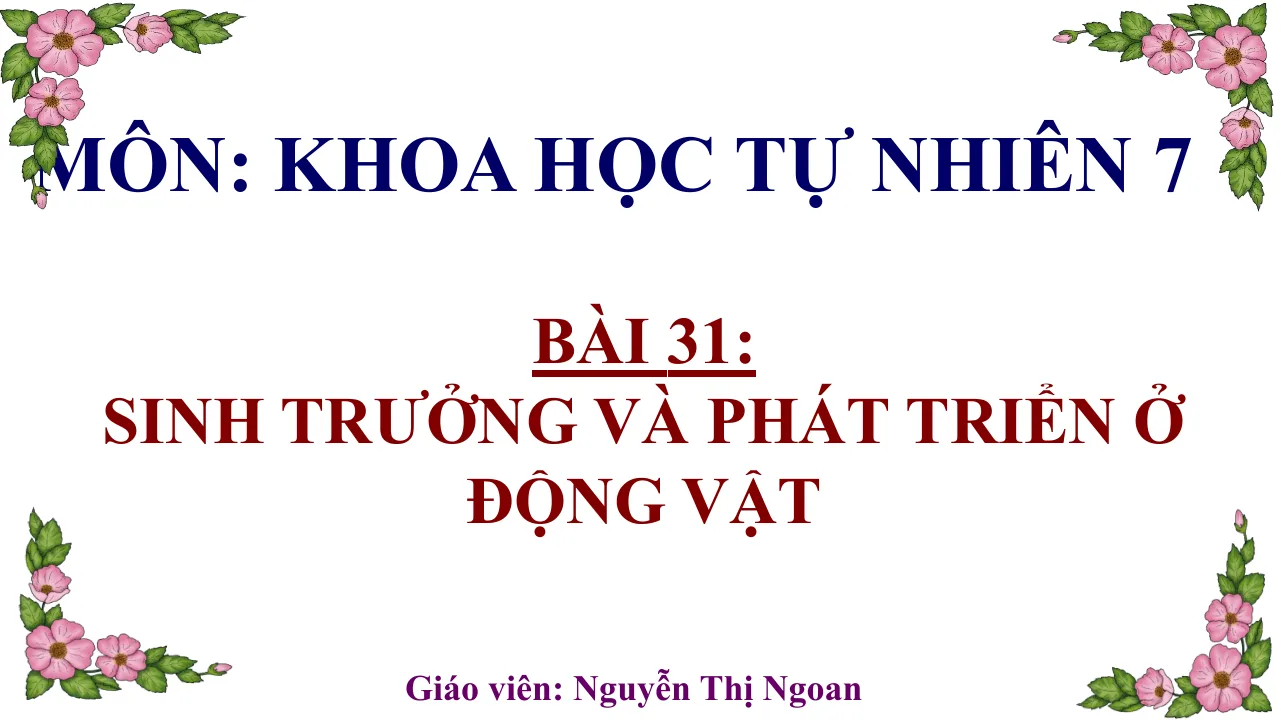 Giáo Án PowerPoint Sinh 7 Bài 31 Sinh Trưởng Và Phát Triển Ở Động Vật