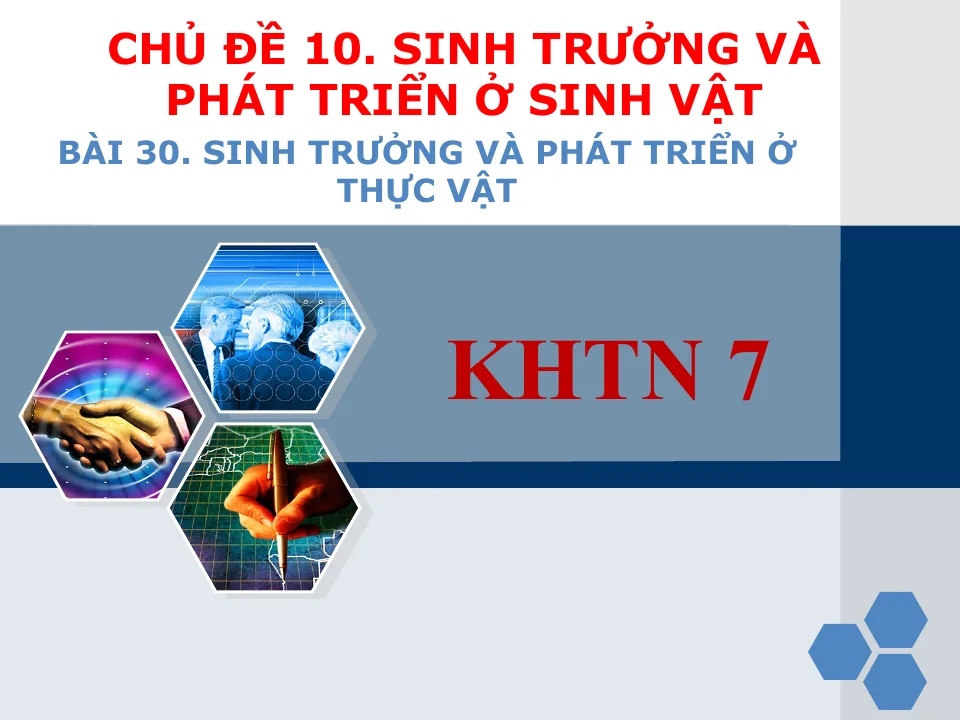 Giáo Án PowerPoint Sinh 7 Bài 30 Sinh Trưởng Và Phát Triển Ở Thực Vật