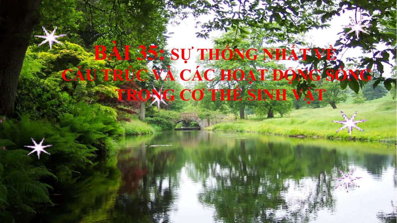 Giáo Án PowerPoint Sinh 7 Bài 35 Sự Thống Nhất Về Cấu Trúc Và Các Hoạt Động Sống Trong Cơ Thể Sinh Vật