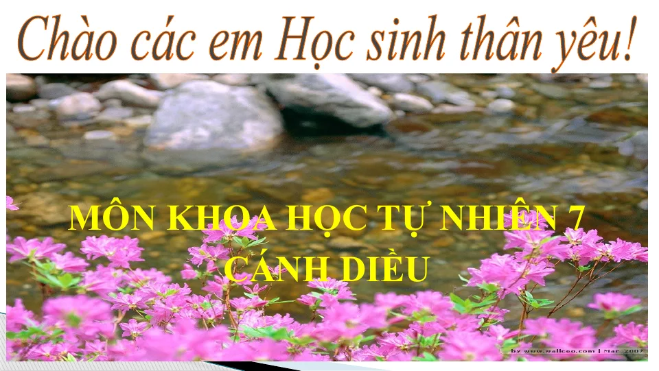 Giáo Án PowerPoint Sinh 7 Bài 25 Trao Đổi Nước Và Các Chất Dinh Dưỡng Ở Thực Vật