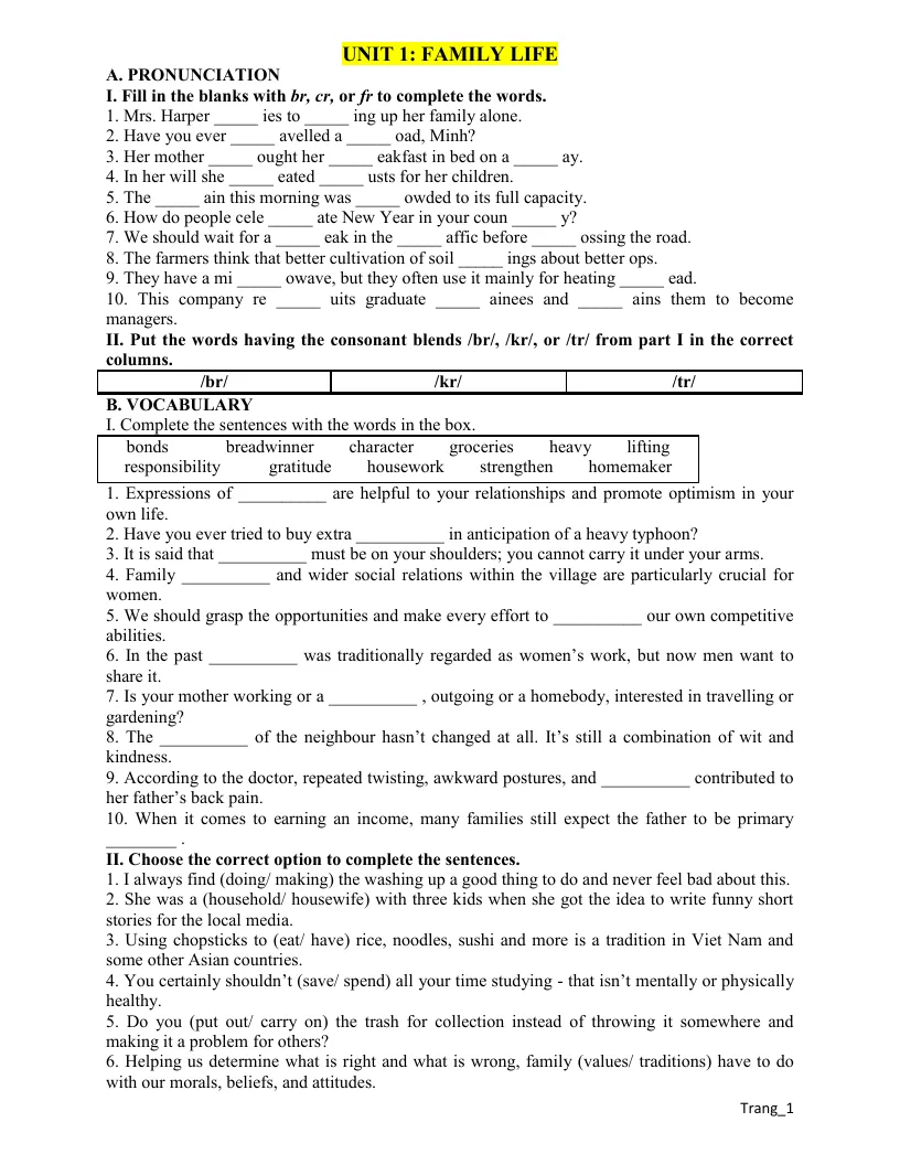 Bài Tập Thực Hành Anh 10 Unit 1 Family Life