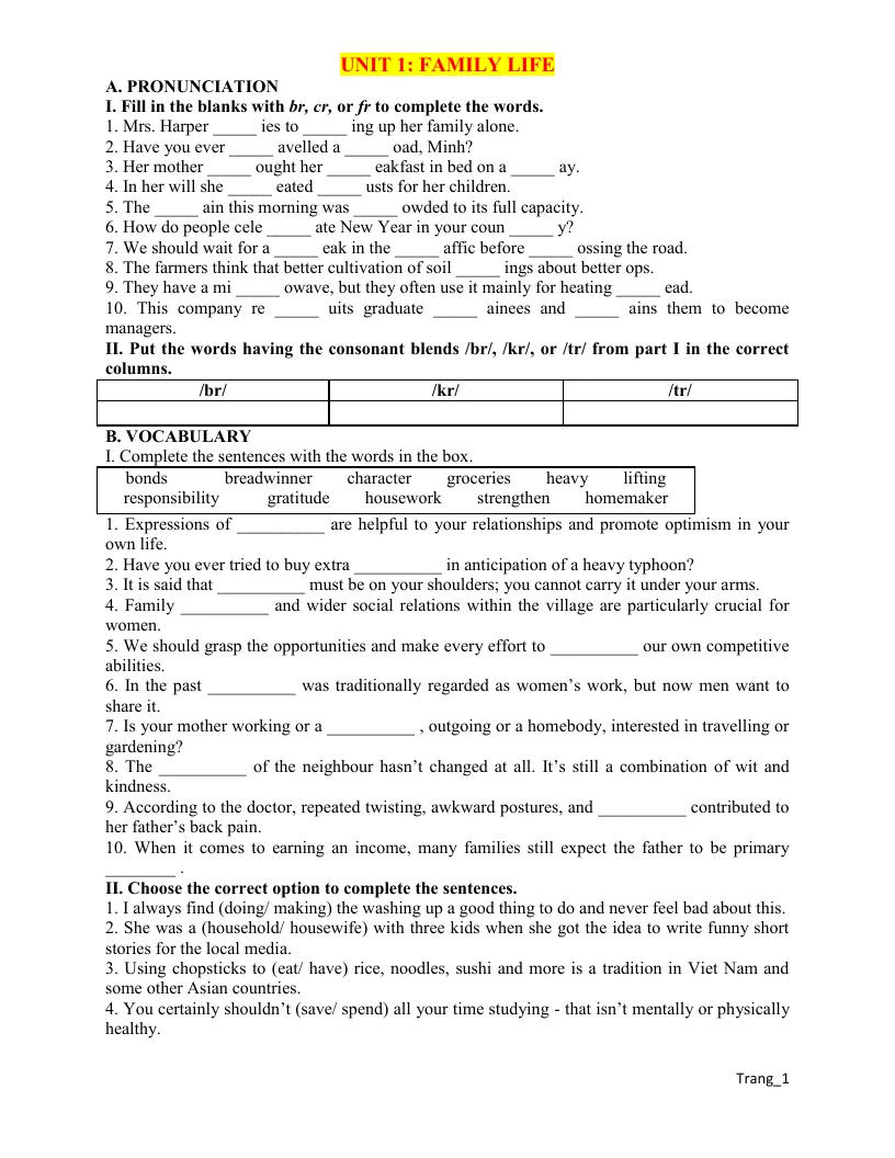 Bài Tập Làm Thêm Tiếng Anh 10 Unit 1 Family Life
