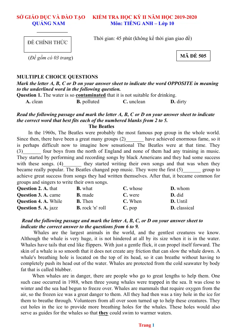 Đề Thi HK2 Tiếng Anh 10 Sở GD Quảng Nam 2019 - 2020