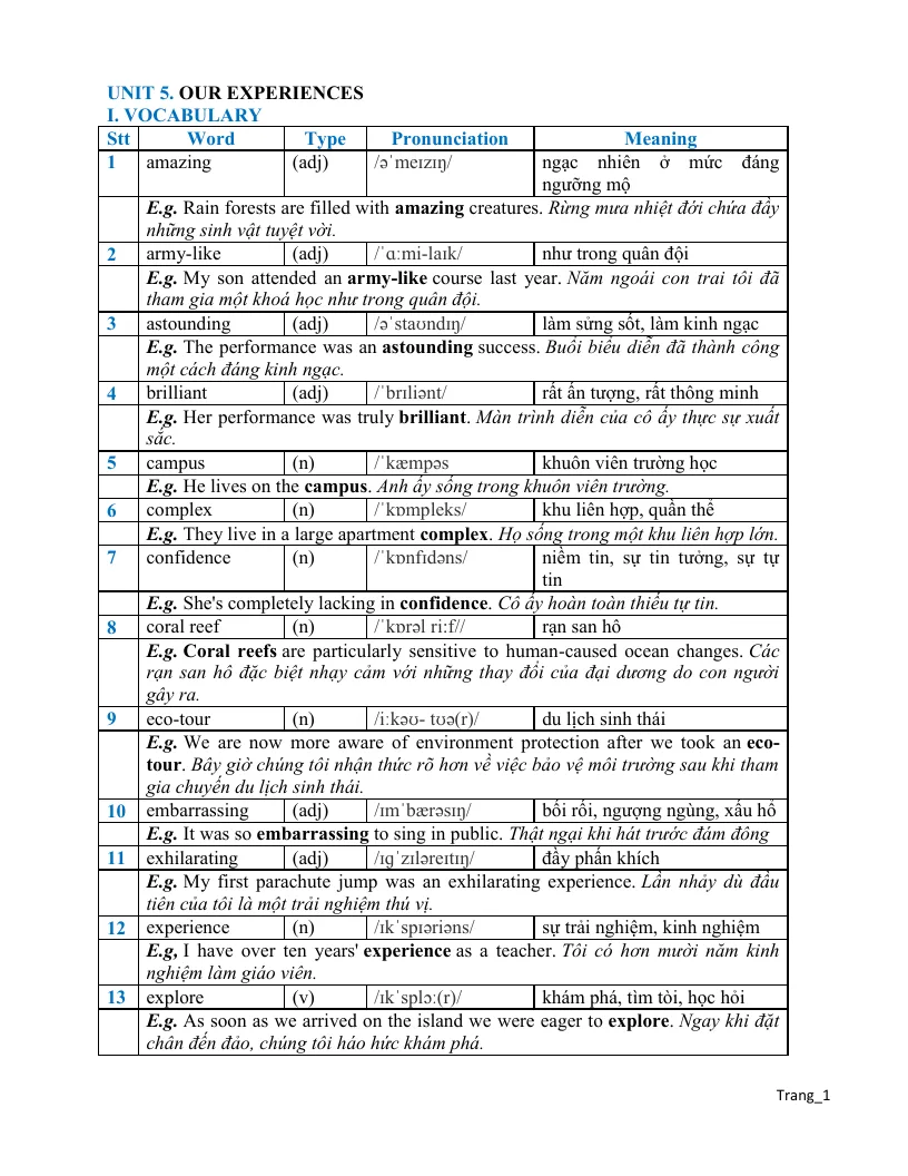 Bài Tập Chuyên Sâu Tiếng Anh 9 Unit 5 Our Experiences