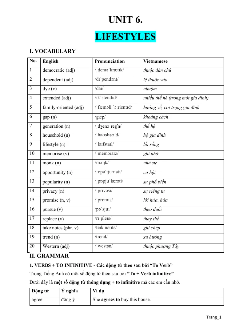 Từ Vựng Và Ngữ Pháp Tiếng Anh 9 Global Unit 6 Lifestyles