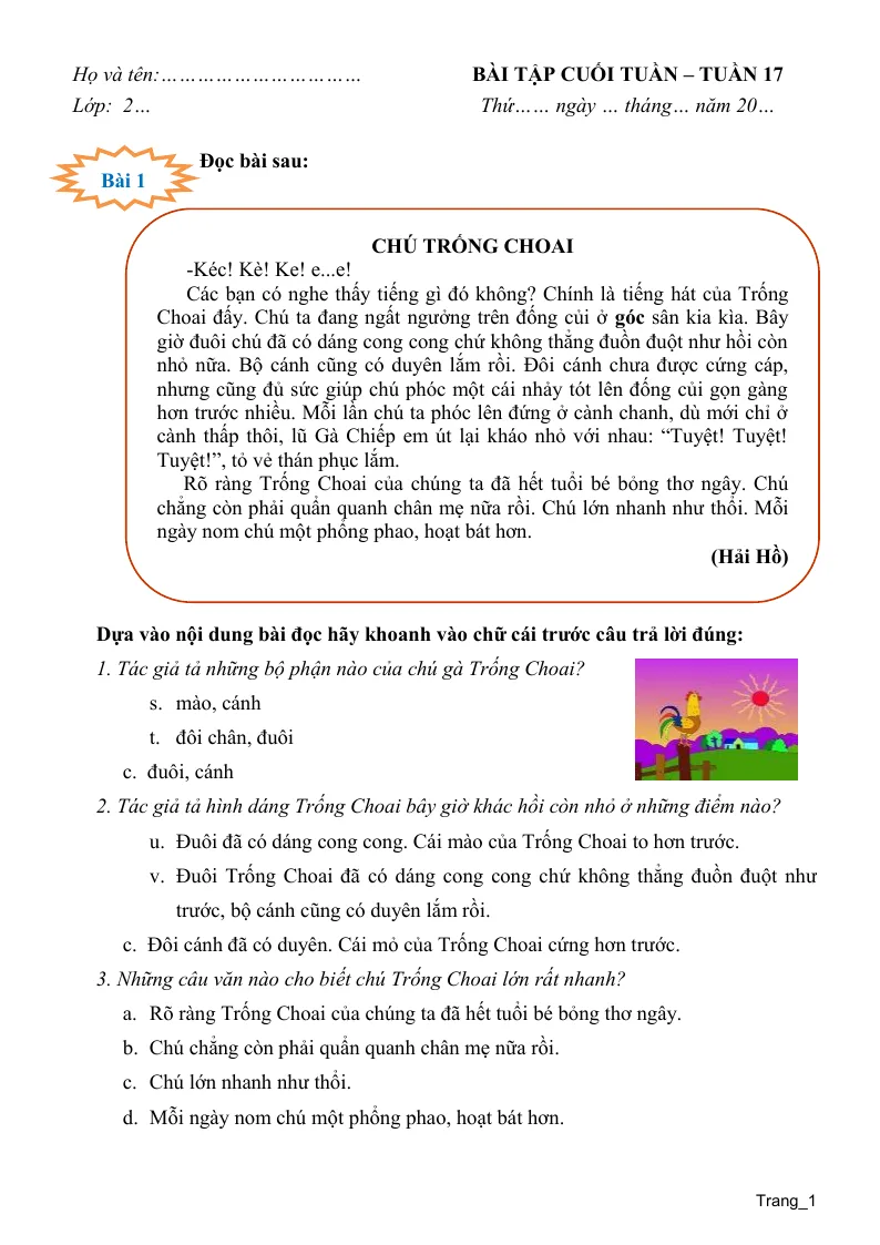 Phiếu Cuối Tuần Tiếng Việt 2 Tuần 17