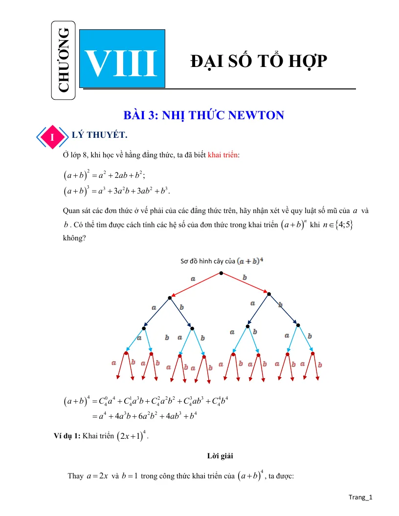 Chuyên Đề Nhị Thức Niu Tơn Toán 10