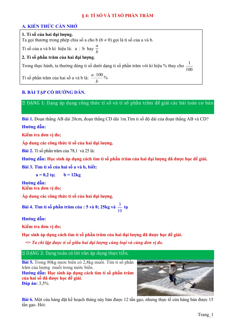 Phương Pháp Giải Bài 4 Tỉ Số Và Tỉ Số Phần Trăm Toán 6 CTST