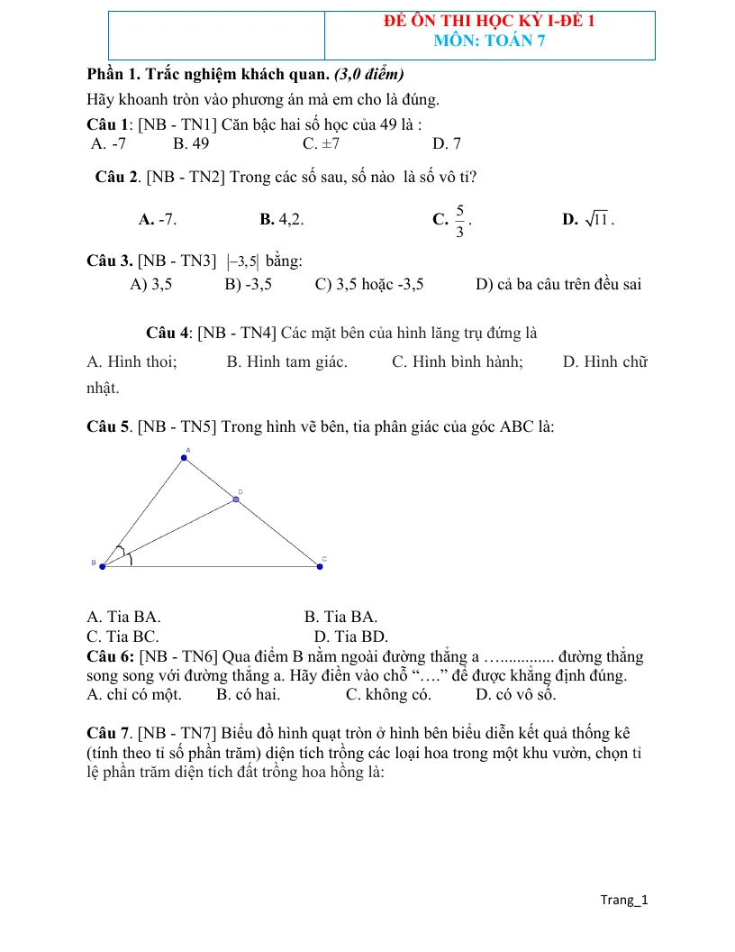 Đề Ôn Thi HK1 Toán 7 CTST Có Đáp Án - Đề 1