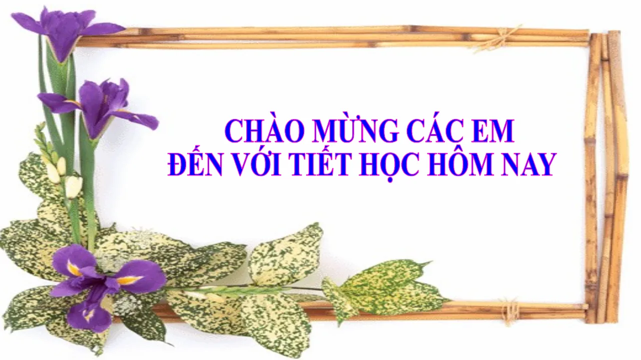 Giáo Án PowerPoint Toán 7 CTST Bài 3 Chương 2 Làm Tròn Số Và Ước Lượng Kết Quả