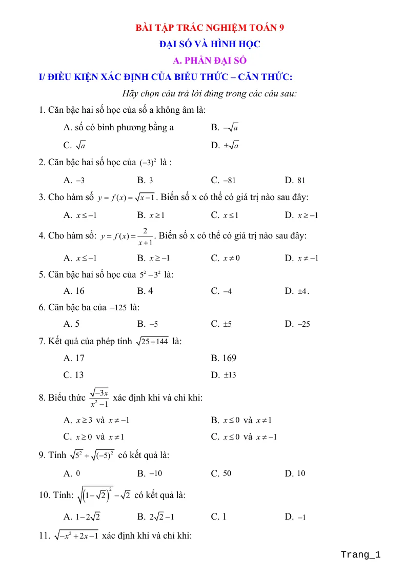 300 Câu Trắc Nghiệm Toán 9 Cả Năm Theo Từng Dạng