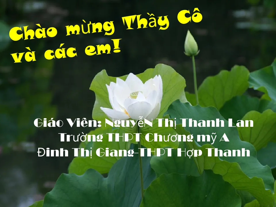 Giáo Án PowerPoint Văn 10 KNTT Bài 3 Phần Yêu Và Đồng Cảm